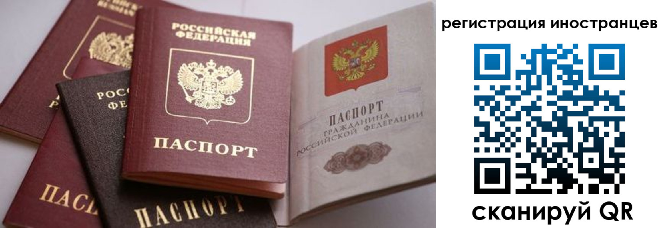 прописка штамп в Трубчевске
